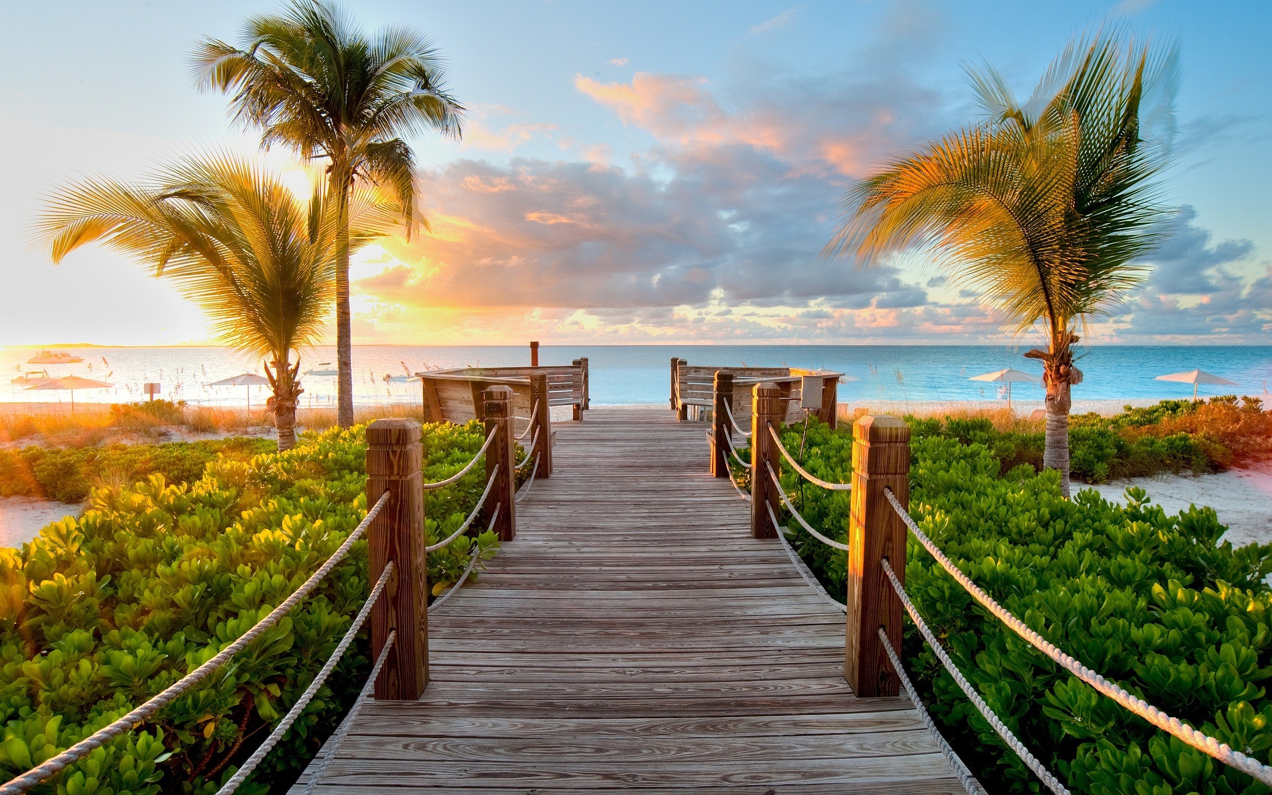 sunlight, sunset, sea, shore, beach, morning, coast, palm trees, island, path, walkway, Caribbean, vacation, tree, ocean, tropics, arecales, palm family