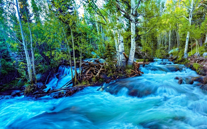 Turquoise River Rapids Flowing Over Rocks Hd Wallpaper | Rare Gallery