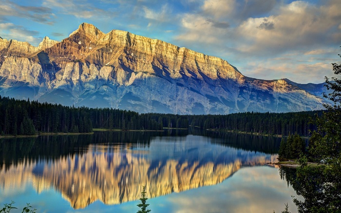 Mountain Reflected In A Calm Lake With Pine Trees Hd Wallpaper | Rare ...