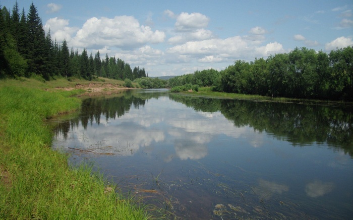 River With Trees And Reflections Hd Wallpaper | Rare Gallery