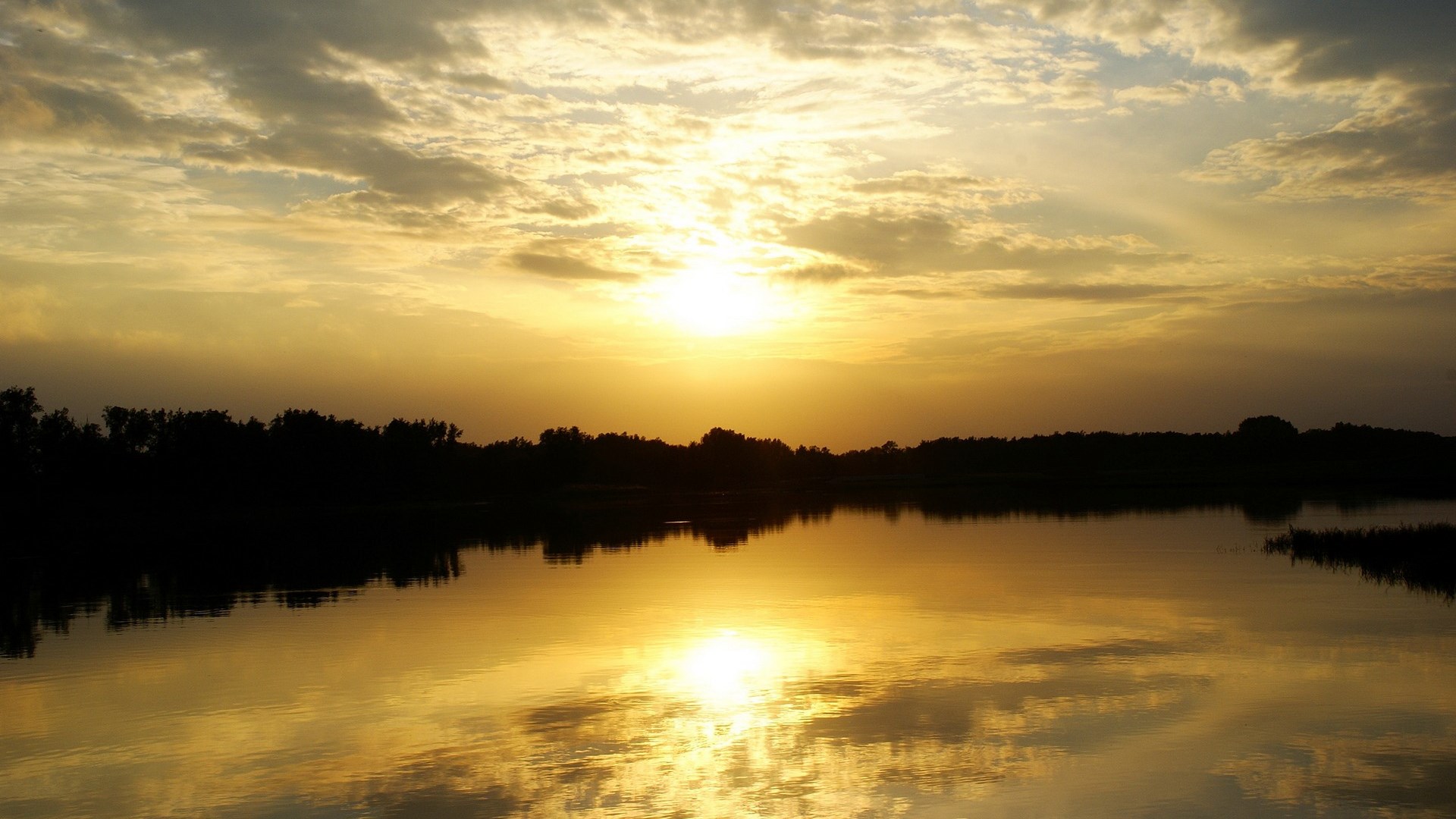 Sunset Over A Calm Lake With Silhouetted Trees Hd Wallpaper | Rare Gallery
