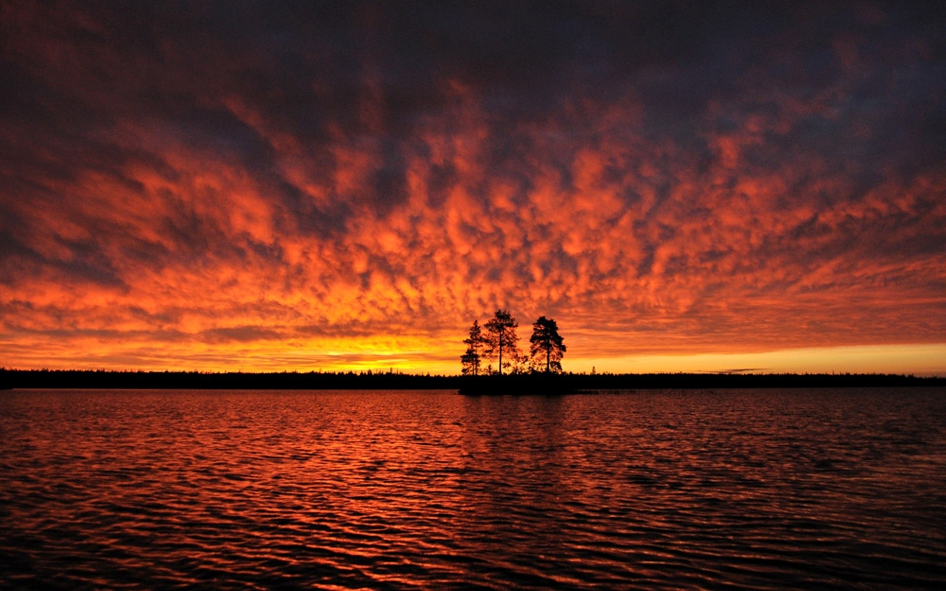 Sunset Over A Lake With Trees On An Island Hd Wallpaper | Rare Gallery